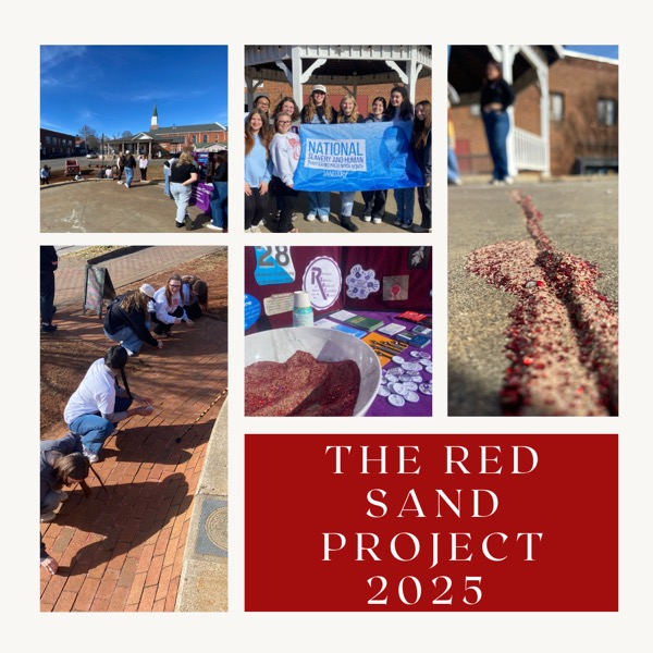 The Red Sand Project 2025 - 2